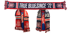 Load image into Gallery viewer, 50th Anniversary Scarf
